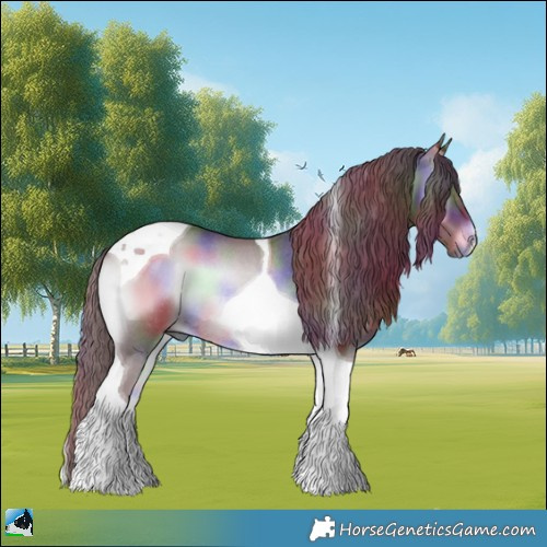Horse Color:Nacre Chocolate Blue Onyx Chinchilla Tobiano Rabicano 