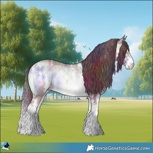 Horse Color:Nacre Chocolate Brown Chinchilla Onyx Sabino Rabicano 