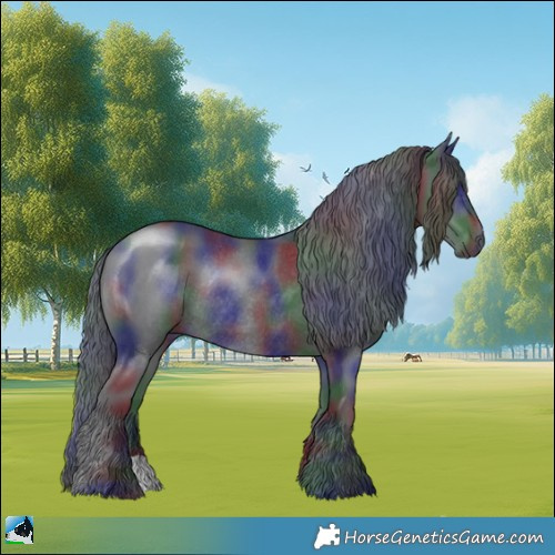 Horse Color:Nacre Black Chinchilla Rabicano 