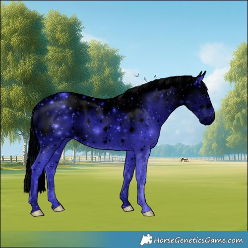 Horse Color:ERROR: UNKNOWN ANOMALY
