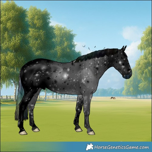 Horse Color:ERROR: UNKNOWN ANOMALY