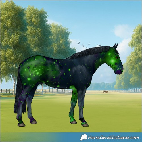 Horse Color:ERROR: UNKNOWN ANOMALY