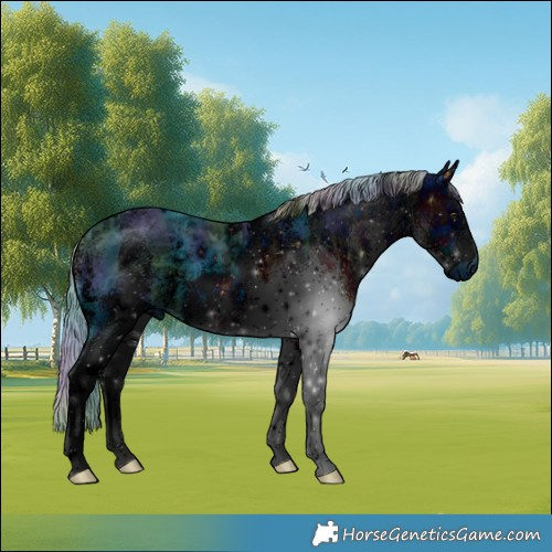 Horse Color:ERROR: UNKNOWN ANOMALY