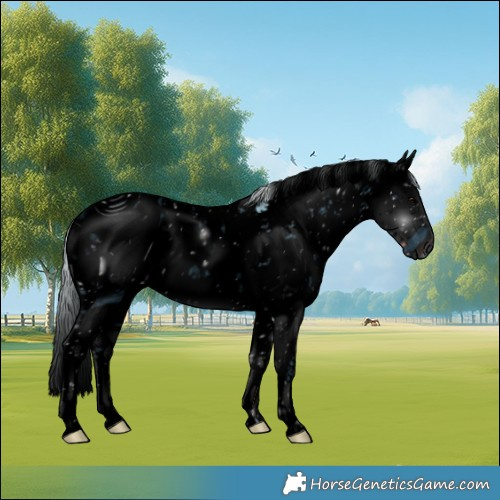 Horse Color:ERROR: UNKNOWN ANOMALY