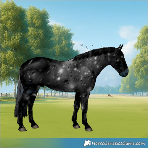 Horse Color:ERROR: UNKNOWN ANOMALY