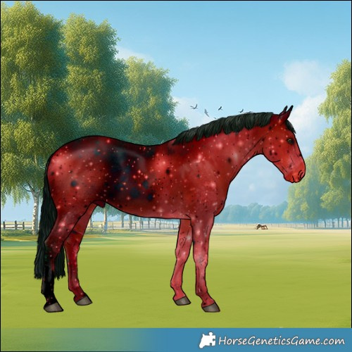 Horse Color:ERROR: UNKNOWN ANOMALY