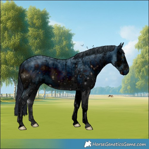 Horse Color:ERROR: UNKNOWN ANOMALY