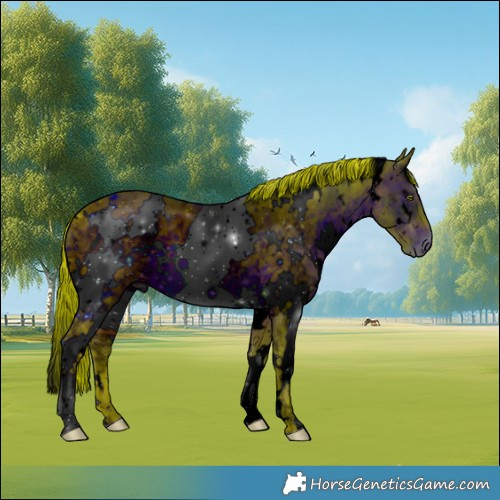 Horse Color:ERROR: UNKNOWN ANOMALY