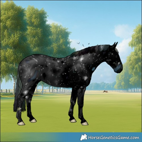 Horse Color:ERROR: UNKNOWN ANOMALY