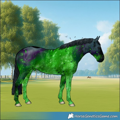 Horse Color:ERROR: UNKNOWN ANOMALY