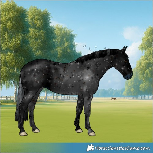 Horse Color:ERROR: UNKNOWN ANOMALY