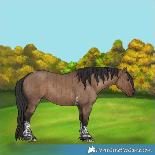 Horse Color:Liver Red Dun Tobiano Rabicano Brindle 