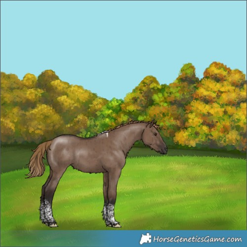 Horse Color:Liver Red Dun Tobiano Rabicano Brindle 