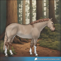 Horse Color:Liver Red Dun Tobiano Rabicano 