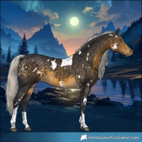 Horse Color:White Spotted Silver Buckskin Tobiano 