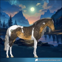Horse Color:Silver Buckskin Tobiano 