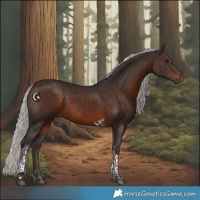 Horse Color:Silver Brown Tobiano 