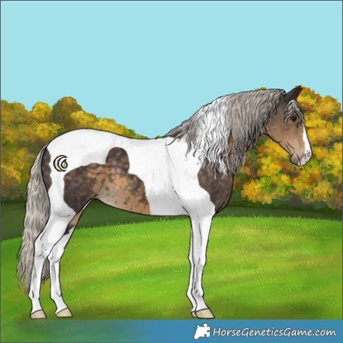 Horse Color:Silver Smoky Black Tobiano
