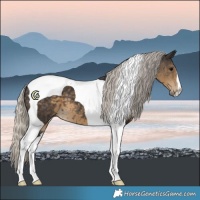 Horse Color:Silver Smoky Black Tobiano 