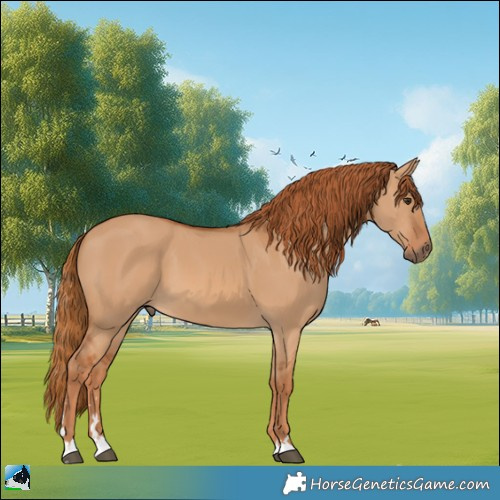Horse Color:Red Dun 
