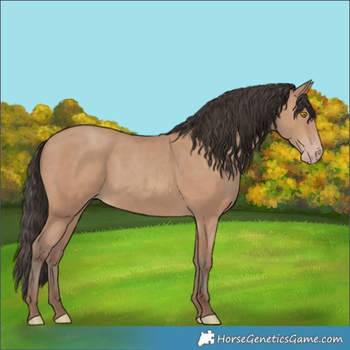 Horse Color:Sable Champagne Rabicano 