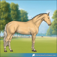 Horse Color:Palomino 