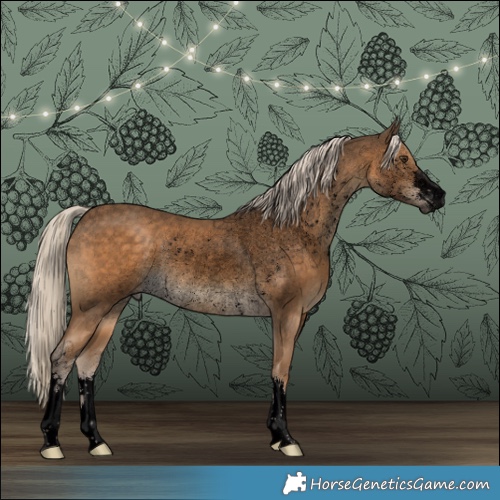 Horse Color:Void Chocolate Palomino Rabicano