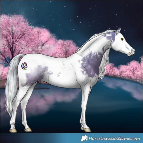 Horse Color:Silver Bay Dun Splash Tobiano Rabicano 