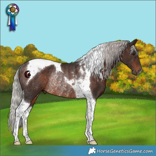 Horse Color:Silver Brown Tobiano Rabicano 