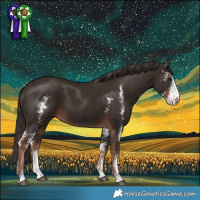 Horse Color:Liver Chestnut Sabino