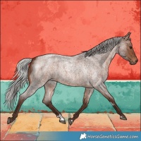 Horse Color:Silver Brown Roan 