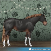 Horse Color:Liver Chestnut Tobiano 