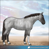 Horse Color:Liver Red Roan Tobiano