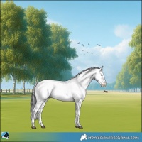 Horse Color:Brown Onyx Sabino