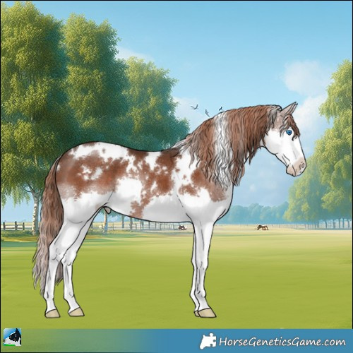 Horse Color:White Spotted Liver Chestnut Splash 