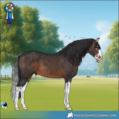 Horse Color:Brown Splash 