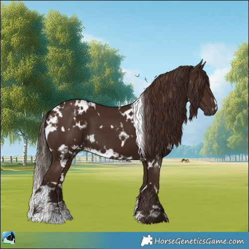 Horse Color:White Spotted Liver Chestnut 