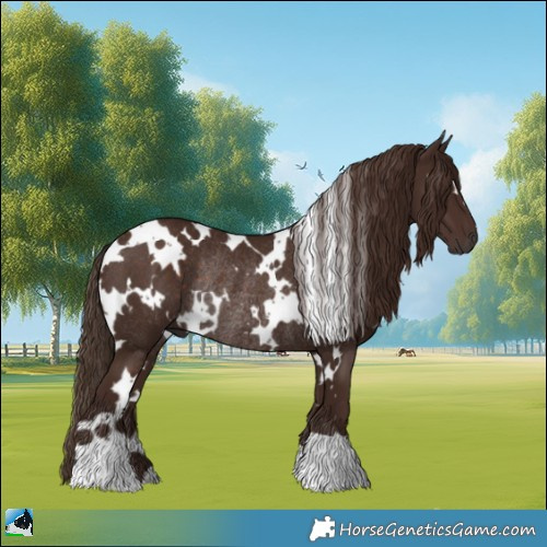 Horse Color:White Spotted Liver Chestnut Rabicano 
