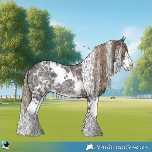 Horse Color:White Spotted Liver Chestnut Ice Splash Rabicano 