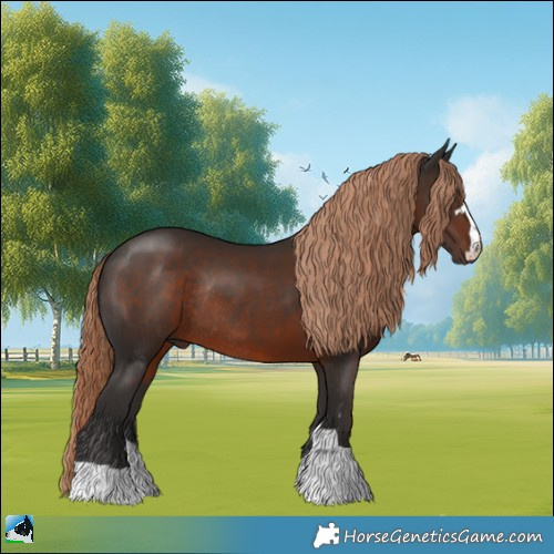Horse Color:Liver Chestnut Rabicano 