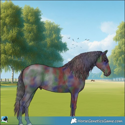 Horse Color:Nacre Black Rabicano 