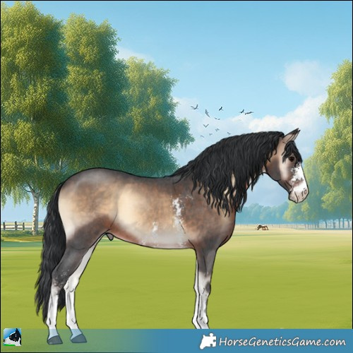 Horse Color:Brown Onyx Sabino Rabicano 