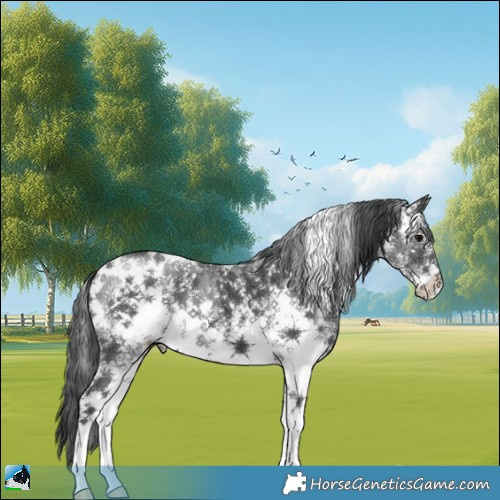 Horse Color:White Spotted Black Sabino 