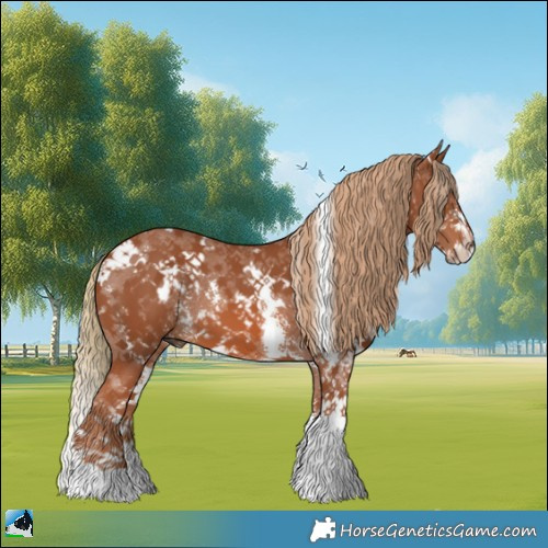 Horse Color:White Spotted Chestnut Sabino 