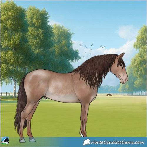 Horse Color:Classic Champagne Rabicano 