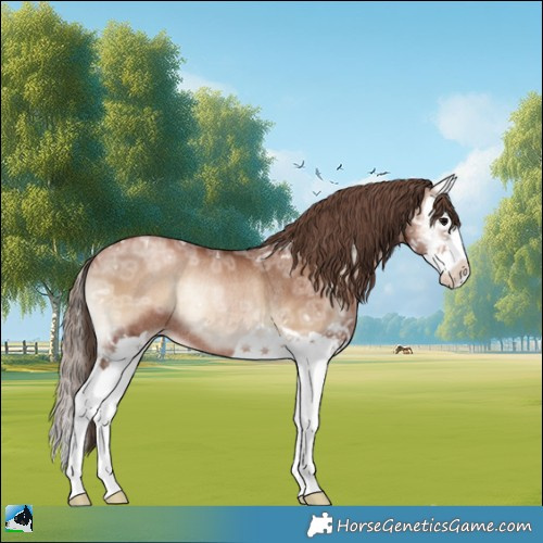 Horse Color:Blue Onyx Ice Pearl Splash Rabicano 