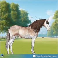 Horse Color:Blue Onyx Ice Pearl Splash Rabicano 