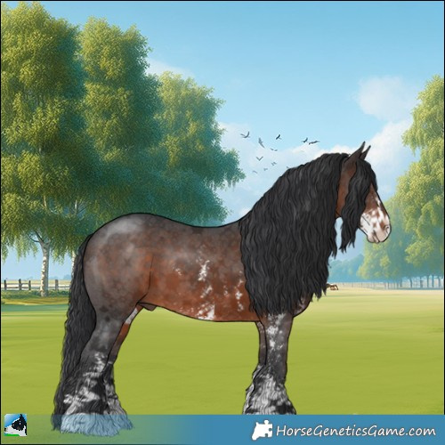 Horse Color:Brown Sabino 