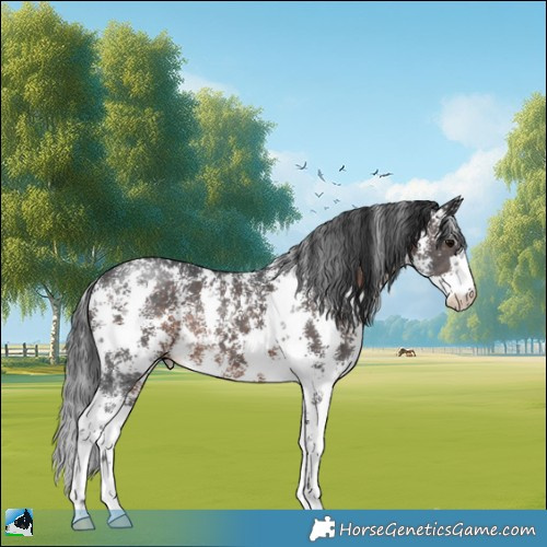Horse Color:Brown Sabino Rabicano 