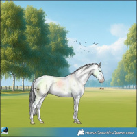 Horse Color:Brown Sabino 